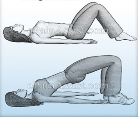 Pelvic Tilt Exercise