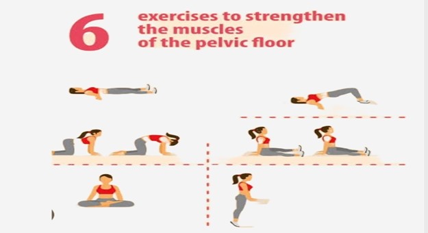 Pelvic Floor Rehabilitation,