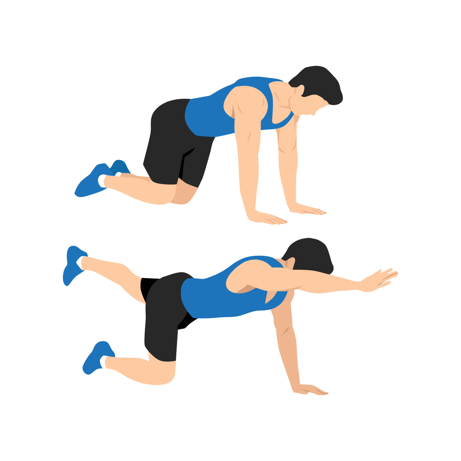 Bird-Dog Exercise,