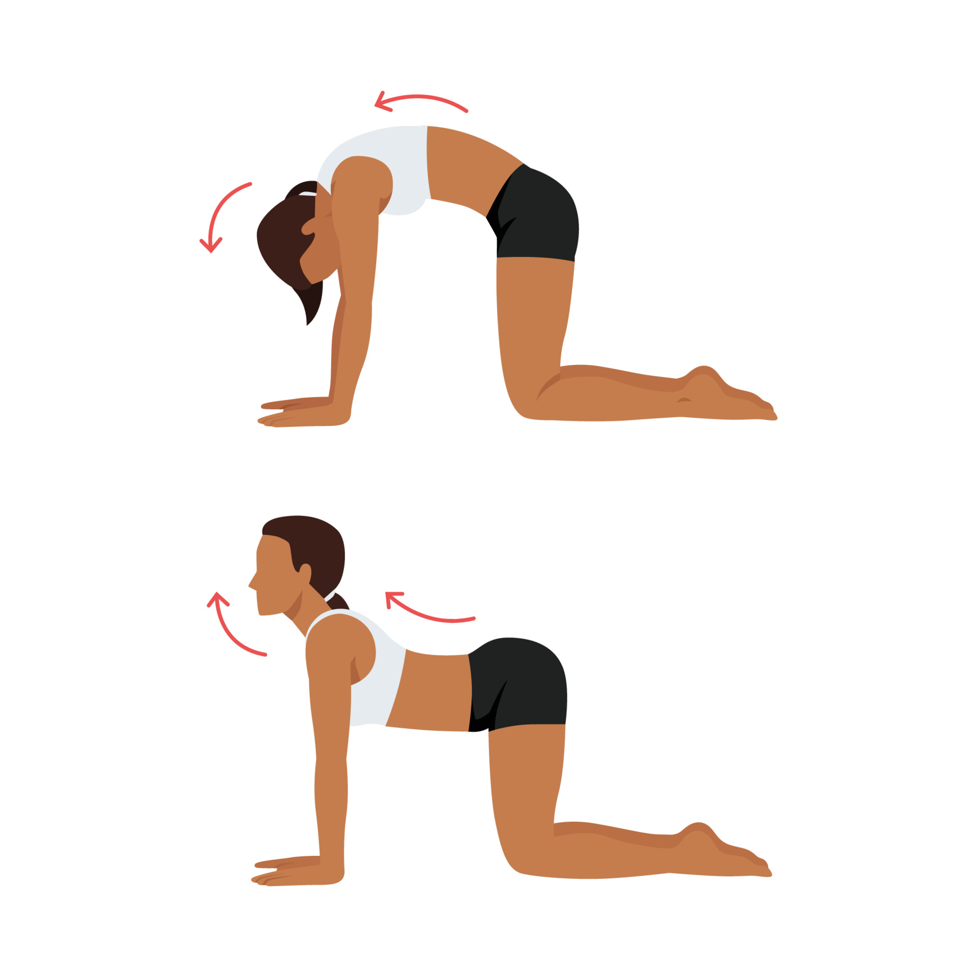Effective Lower Back Pain Exercises For Herniated Disc Recovery