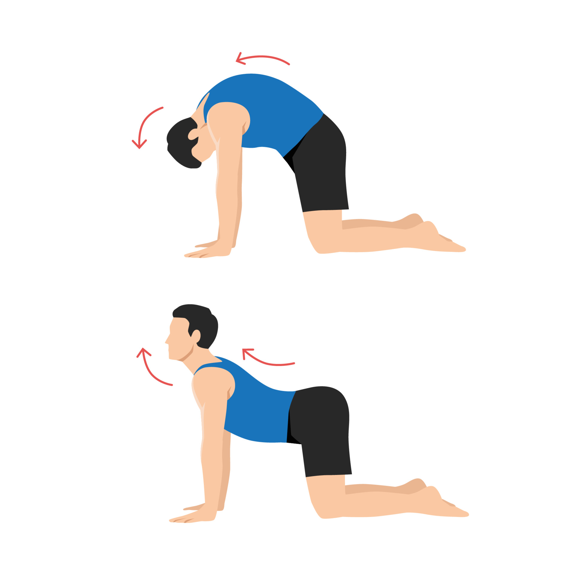 Effective Yoga Poses For Back Pain Relief