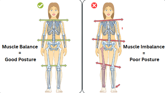 Muscle Weakness and Imbalances