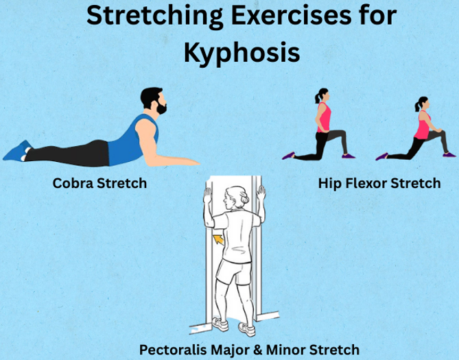 Stretching Exercises
