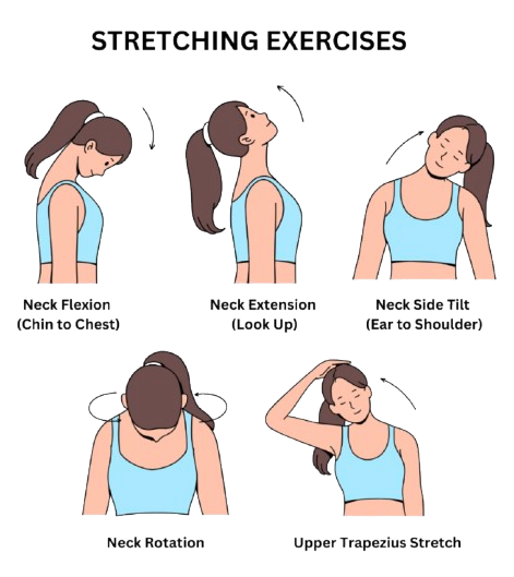 Stretching Exercises