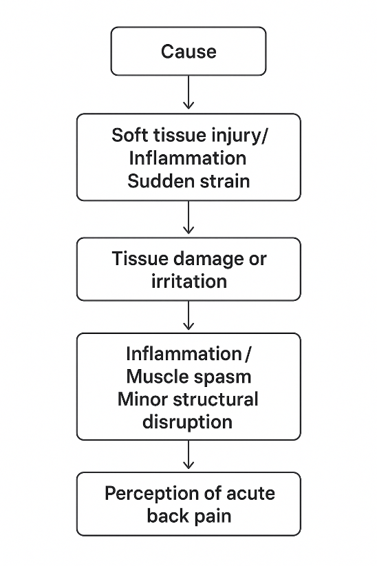 Acute Back Pain