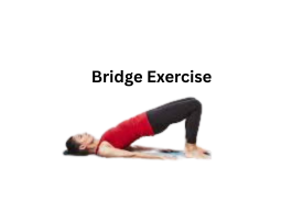 Bridge Exercise