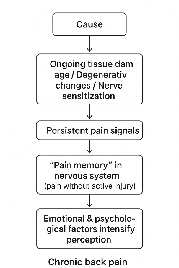 Chronic Back Pain