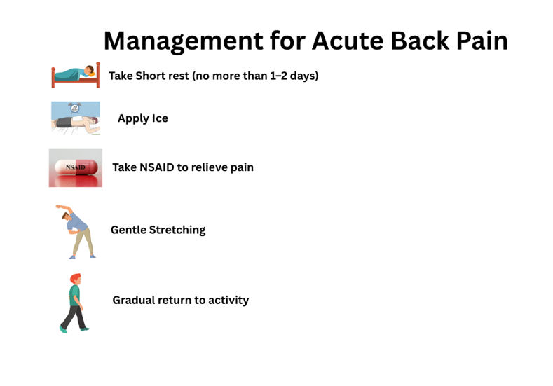 Management of Acute Back Pain