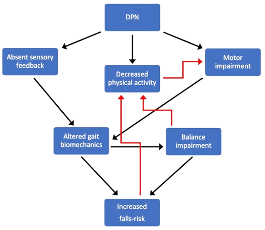 Neuropathy and Altered Biomechanics