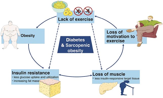 Obesity and Inflammation