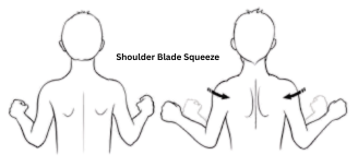 Shoulder Blade Squeeze