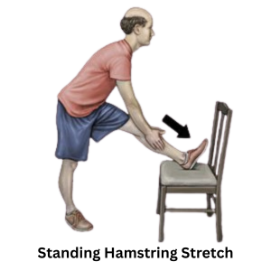 Standing Hamstring Stretch