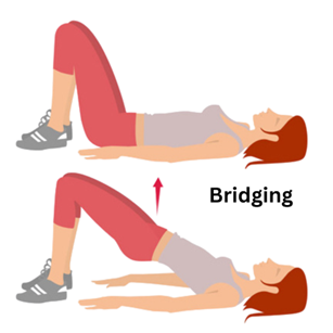 Bridging