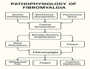 Pathophysiology of fibromyalgia
