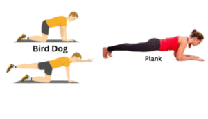 Bird Dog and Plank