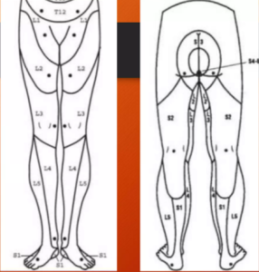 Asia (American Spinal Injury Association) Chart - Dr Mahmood
