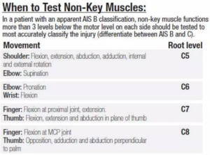 Asia (American Spinal Injury Association) Chart - Dr Mahmood