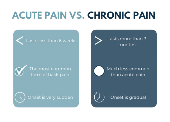 Understanding Different Types of Back Pain Acute vs. Chronic